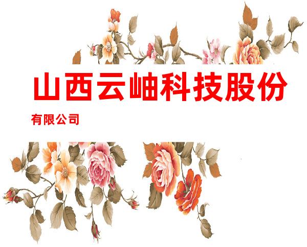 山西云岫科技股份有限公司