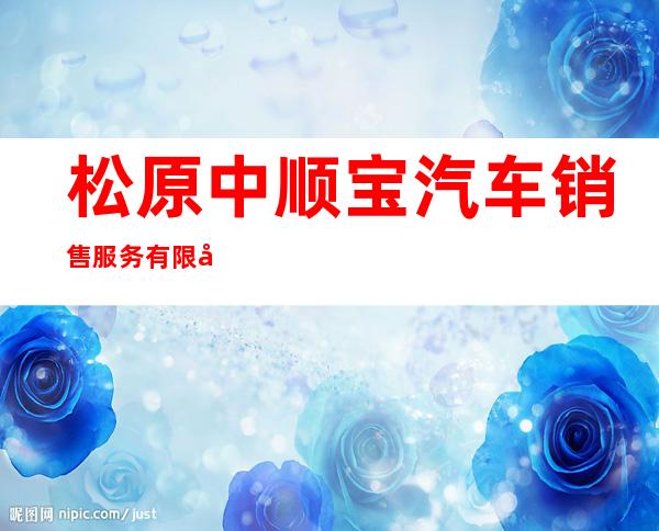 松原中顺宝汽车销售服务有限公司