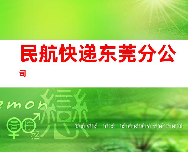 民航快递东莞分公司