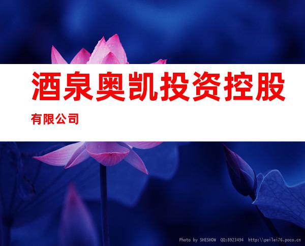 酒泉奥凯投资控股有限公司